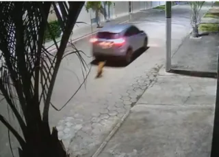 Irmão de ex prefeita de Itanhém que arrastou cão até a morte em Jaguaré/ES é condenado a mais de 03 anos de prisão