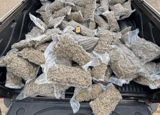 Itabela: PF apreende 102 kg de maconha em carreta e prende motorista