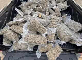 Itabela: PF apreende 102 kg de maconha em carreta e prende motorista