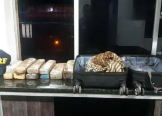 Jovem de 19 anos é presa pela PRF transportando maconha no oeste da Bahia