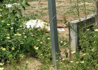 Jovem é executado enquanto capinava o quintal na Cidade de Deus em Teixeira de Freitas