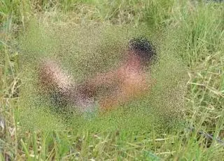 Jovem é baleado com três tiros ao ir em encontro marcado pelo Facebook em Itamaraju