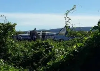 Jumentos são atropelados por avião que transportava vacinas no interior da Bahia