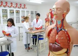 Justiça suspende implantação de curso de medicina em Porto Seguro