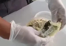 Mães de internos são flagradas tentando entrar com drogas na Cadeia Pública de Salvador