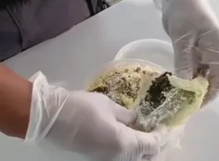 Mães de internos são flagradas tentando entrar com drogas na Cadeia Pública de Salvador