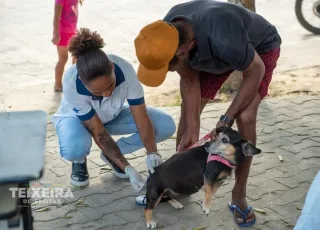 Mais de 10 mil cães e gatos são vacinados durante campanha antirrábica em Teixeira de Freitas