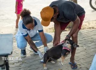 Mais de 10 mil cães e gatos são vacinados durante campanha antirrábica em Teixeira de Freitas