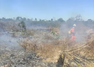 Mais de 220 bombeiros com apoio de 50 viaturas e brigadistas voluntários atuam no combate a incêndios florestais no interior da Bahia