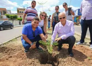 Mais de 80 mudas são plantadas na Avenida São Paulo pela Secretaria Municipal de Meio Ambiente