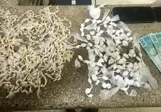 Mais de mil pedras de crack e 120 papelotes de cocaína são apreendidos em Itamaraju