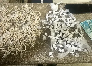 Mais de mil pedras de crack e 120 papelotes de cocaína são apreendidos em Itamaraju