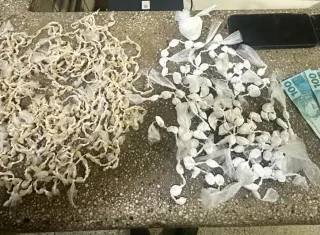 Mais de mil pedras de crack e 120 papelotes de cocaína são apreendidos em Itamaraju