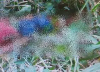 Mais um corpo de jovem é encontrado no São Lourenço