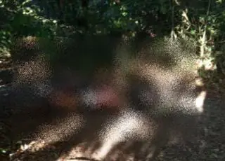 Mais um corpo em decomposição é encontrado no Prado