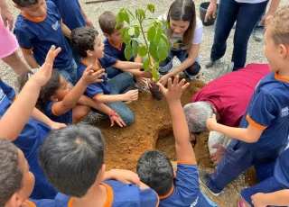 Medeiros Neto: estudantes da rede pública participam de plantio de pau-brasil e ipê-rosa em escola municipal