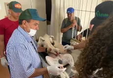 Medeiros Neto: novas consultas veterinárias e castração de pets seguem sendo ofertadas pela Prefeitura 
