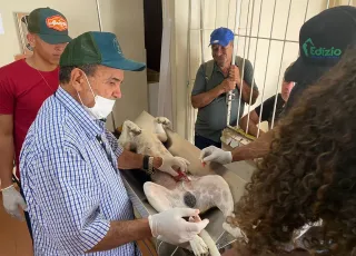 Medeiros Neto: novas consultas veterinárias e castração de pets seguem sendo ofertadas pela Prefeitura 