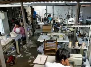Minas Gerais resgata mais de 5,6 mil trabalhadores de condições análogas à escravidão em 13 anos