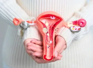 Miomas sem tratamento podem aumentar: veja os sinais para agir rapidamente  