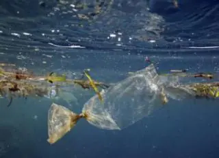MMA lança Plano Nacional de Combate ao Lixo no Mar