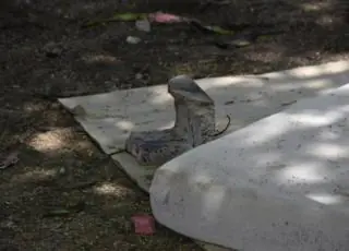Morador de rua é morto a pedradas em Vitória da Conquista