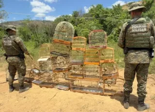 Moradores de Jucuruçu entregam voluntariamente 37 aves silvestres e animais são devolvidos à natureza