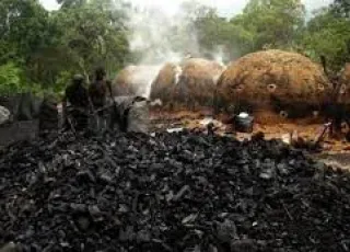 Moradores  de Juerana reclamam de fumaça de fornos de carvão 