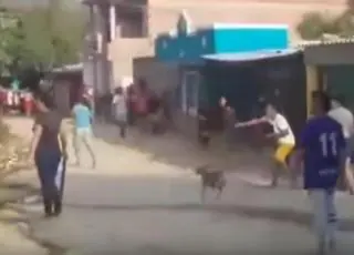 Vídeo - Moradores jogam pedras em casa de vizinha após a mesma mudar a senha do Wi-Fi