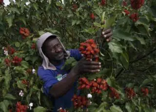 Mostra interativa da Fibria sobre florestas plantadas é exibida em evento na China