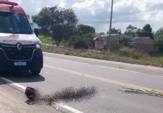 Motociclista morre em acidente após desviar de ônibus e invadir contramão em Eunápolis