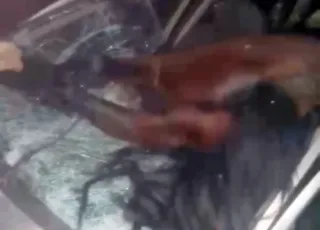 Motorista fica ferido após colidir de frente com cavalo que estava solto em estrada de Belmonte