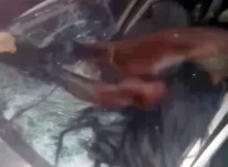 Motorista fica ferido após colidir de frente com cavalo que estava solto em estrada de Belmonte