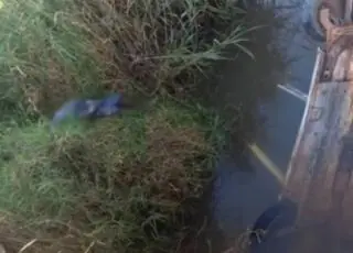 Motorista morre após perder controle da direção e cair em rio, no interior de Itamaraju