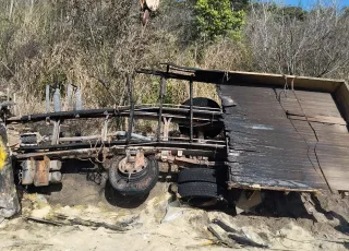 Motorista que tomou caminhão de assalto em Eunápolis morre carbonizado na BR 101 próximo a Teixeira de Freitas