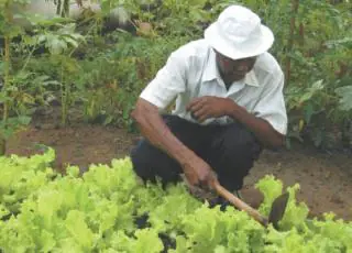 Mucuri: Produtores rurais são cadastrados para fornecimento de alimentos da agricultura familiar