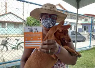 Mucuri realiza dia “D” da Campanha de Vacinação Antirrábica; Quem não tem cão, vacina gato