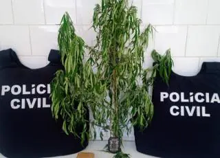 Mulher é conduzida para a delegacia pela Polícia Civil de Caravelas por envolvimento com drogas
