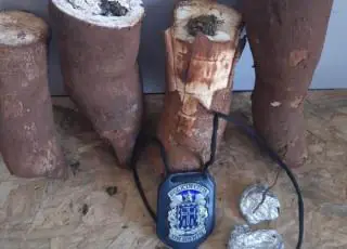 Mulher é presa ao tentar entrar em delegacia com maconha escondida em mandioca