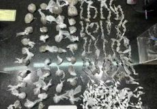 Mulher é presa com grande quantidade de drogas durante abordagem em Eunápolis