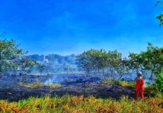 Onda de calor: alerta máximo para incêndios no Extremo Sul da Bahia