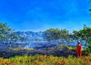 Onda de calor: alerta máximo para incêndios no Extremo Sul da Bahia