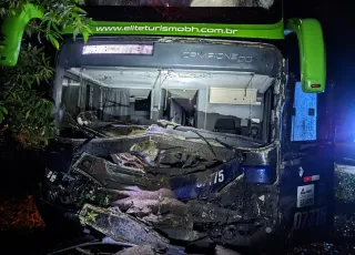 Ônibus de turismo se envolve em acidente com animal solto na BR 418 no município de Nova Viçosa