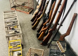 Operação "Protetor do Bioma" apreende armas de fogo artesanais e vários pássaros  mantidos em cativeiros