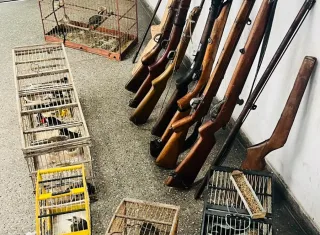 Operação "Protetor do Bioma" apreende armas de fogo artesanais e vários pássaros  mantidos em cativeiros