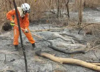 Operação Bahia Sem Fogo mantém esforços no combate aos incêndios em toda a Bahia