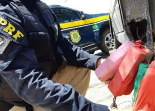 Operação Carnaval 2019: PRF apreende cocaína na BR 116 em Jequié