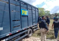 Operação conjunta retira animais da BR-418 em Posto da Mata