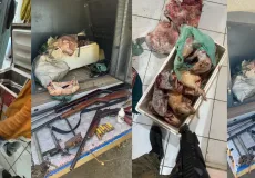 Operação da CIPPA desarticula caça ilegal e apreende armas na zona rural de Prado