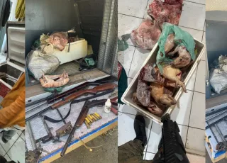 Operação da CIPPA desarticula caça ilegal e apreende armas na zona rural de Prado